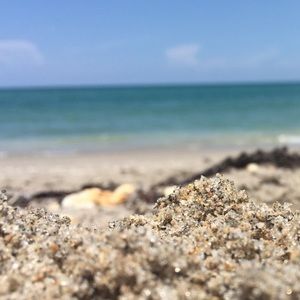 Meet your Posher, Izabel